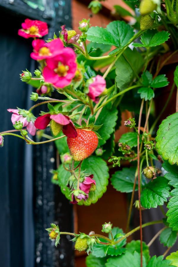 Red Cherry House Watford  Bagian luar foto